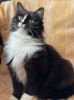 Margo (33)
